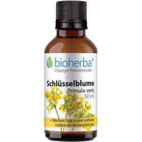 SCHLÜSSELBLUME Primula veris L. günstig im Preisvergleich