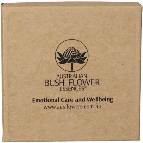 Petite Focus Pendant AUB günstig im Preisvergleich