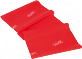 SISSEL-Fit Band Plus mittel günstig im Preisvergleich