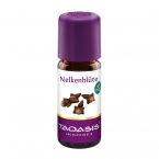 Nelkenblüte BIO im Preisvergleich