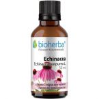 Echinacea im Preisvergleich