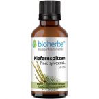 KIEFERNSPITZEN Pinus sylvestris L. im Preisvergleich