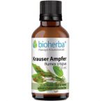 KRAUSER AMPFER Rumex crispus im Preisvergleich