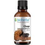 CHAGA Inonotus obliquus im Preisvergleich