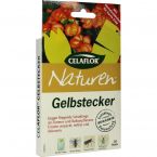 CELAFLOR GELBSTECKER im Preisvergleich