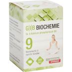 GIB Biochemie Nr.9 Natrium phosphoricum D 6 im Preisvergleich